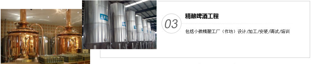 包括小微精釀工廠（作坊）設計/加工/安裝/調(diào)試/培訓
